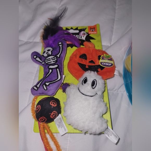 Cat Accessory Bundle - Picture 6 of 6